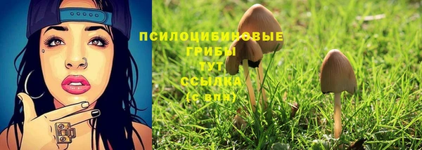 прущая мука Алзамай